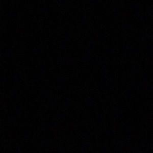 Meet your Posher, Tamia